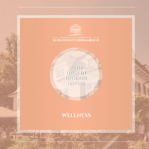 Lachsfarbene Grafik zum Thema "Wellness" mit dem Slogan "Ruhe liegt in unserer Natur"